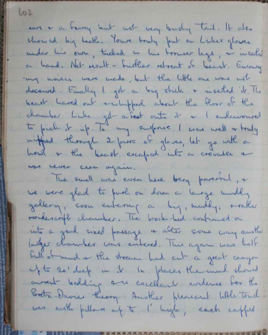 Page 102.jpg